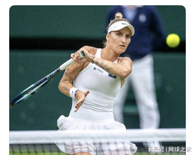 职业生涯的 职业生涯的