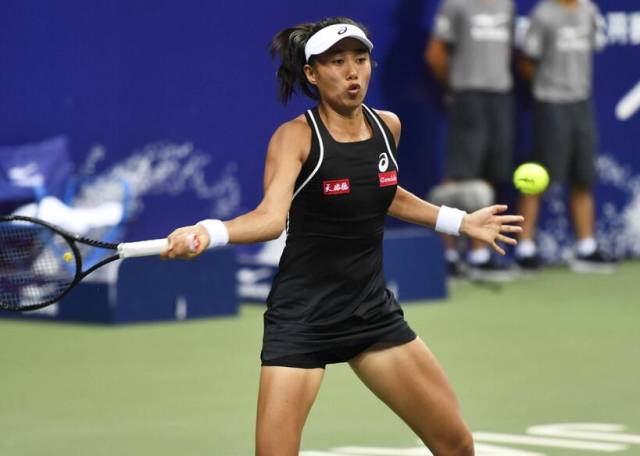 专业回馈平 专业回馈平